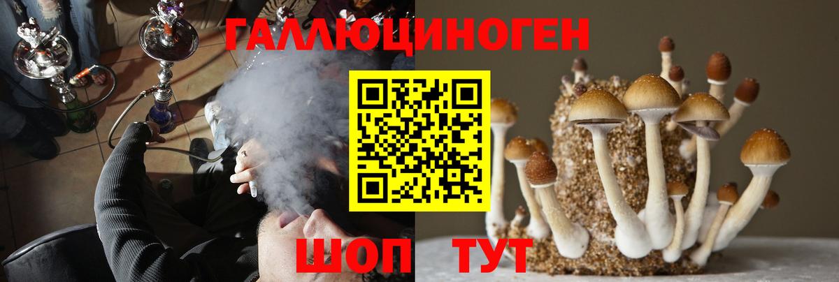 Светлоград  Галлюциногенные грибы GOLDEN TEACHER  наркотики  Вход с VPN 