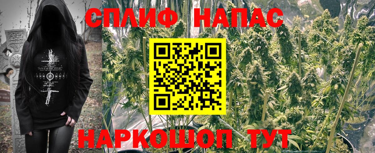Марихуана тримм  Конопля VHQ  Канабис семена  Вход с VPN  Светлоград 